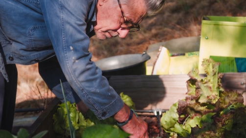 Gemini_Generated_Image_8i3cil8i3cil8i3c